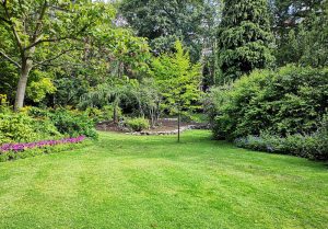 Optimiser l'expérience du jardin à Saint-Maurice-en-Quercy
